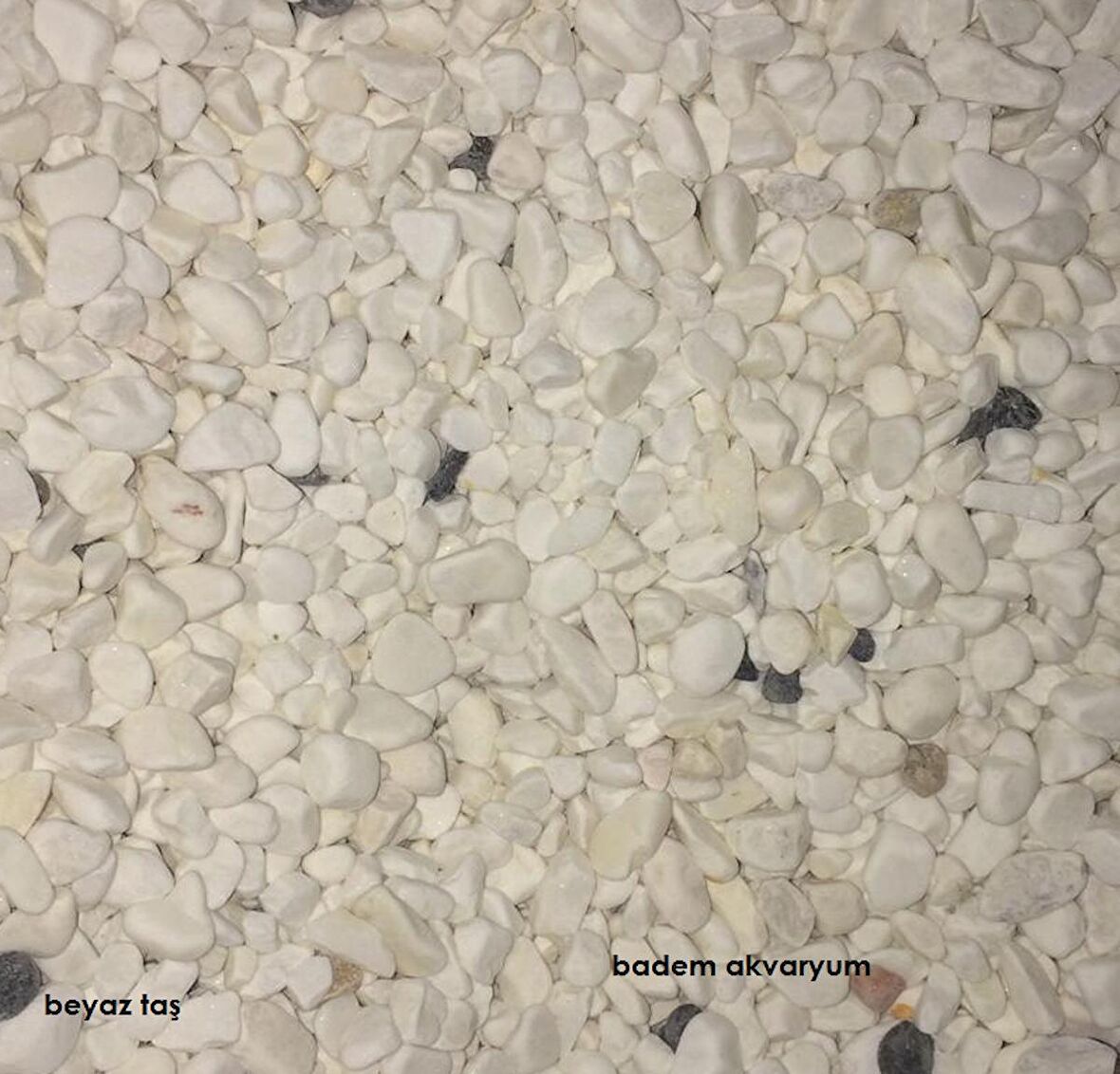 Akvaryum Beyaz Taş 1cm 10 kg Beyaz Taş Akvaryum Taşı Bahçe Taşı