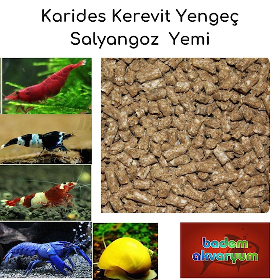 Karides Kerevit Yengeç Salyangoz Yemi 100 Gram