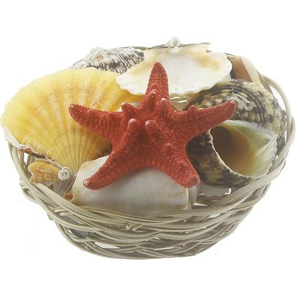 Badem Akvaryum Karışık Deniz Kabuğu Sepeti 15 Cm