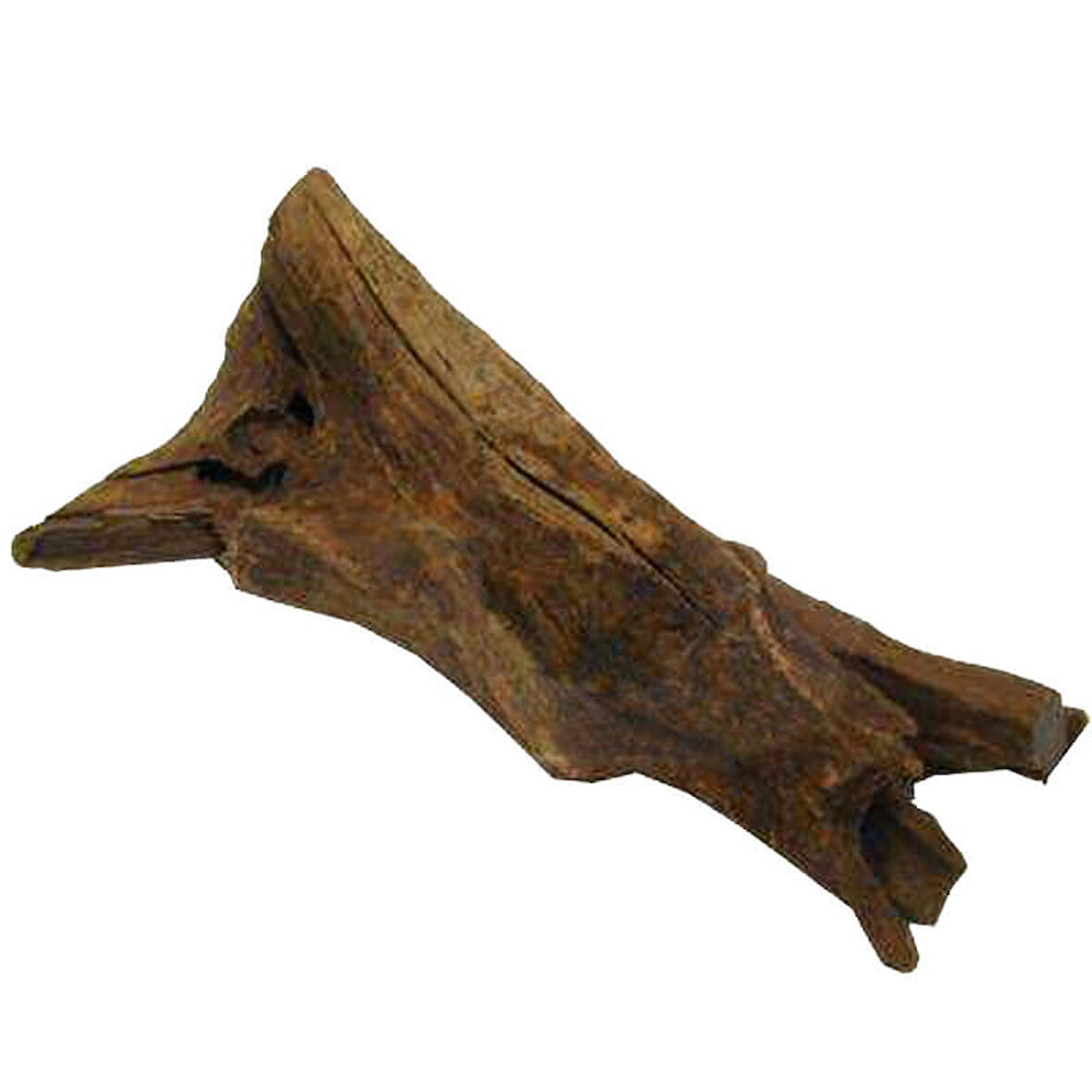 Mangrov Kökü Akvaryum Mango Kökü 25-30 Cm