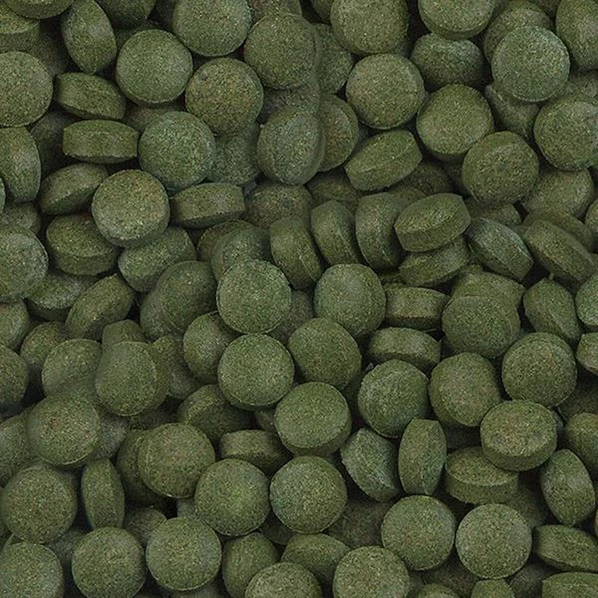 Sera Plankton Tabs Nature 100 Adet Kovadan Bölme