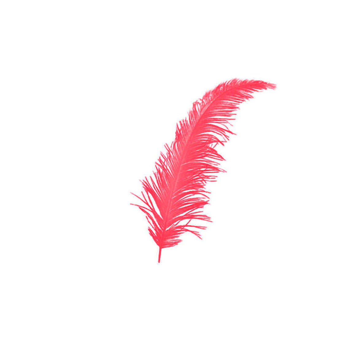 Renkli Tüy (100 Adet)  Kırmızı