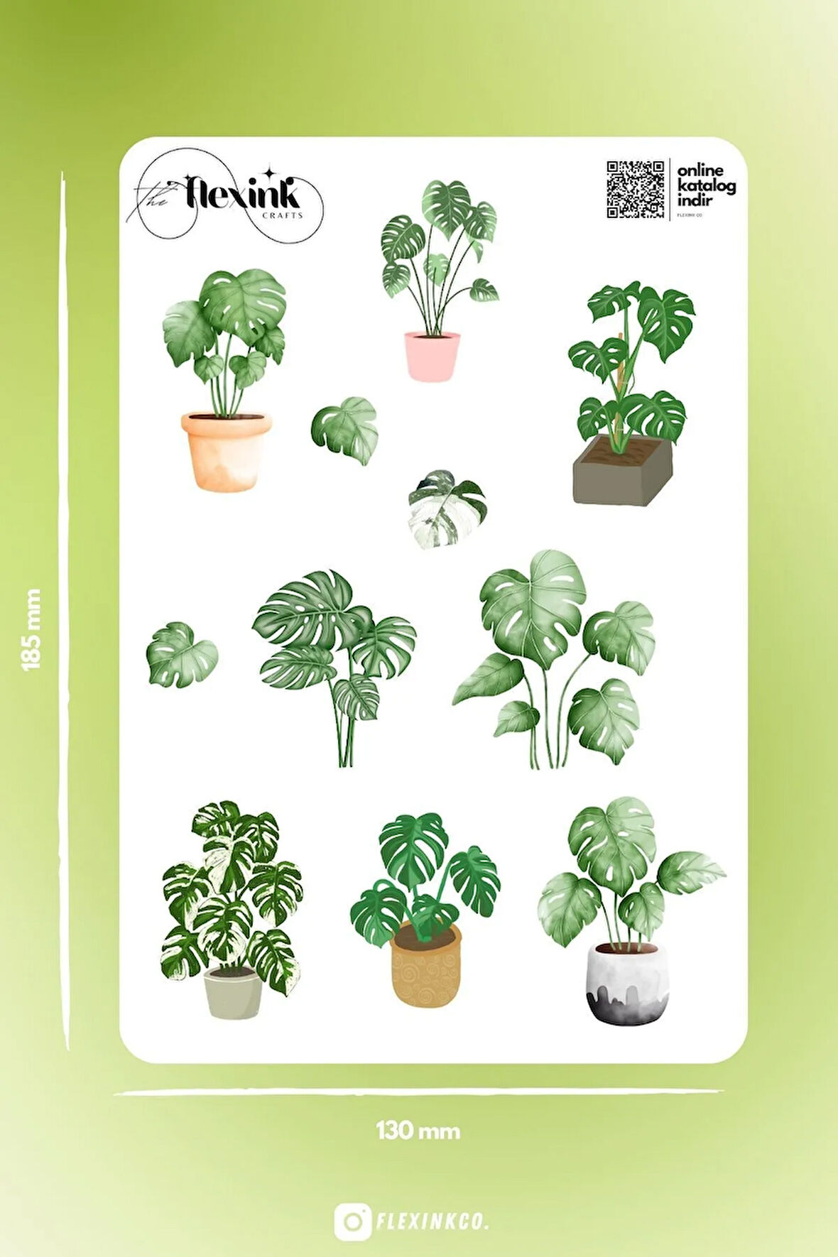 Monstera Şeffaf Sticker Seti Scrapbook Ajanda Journal Bullet Planner Telefon