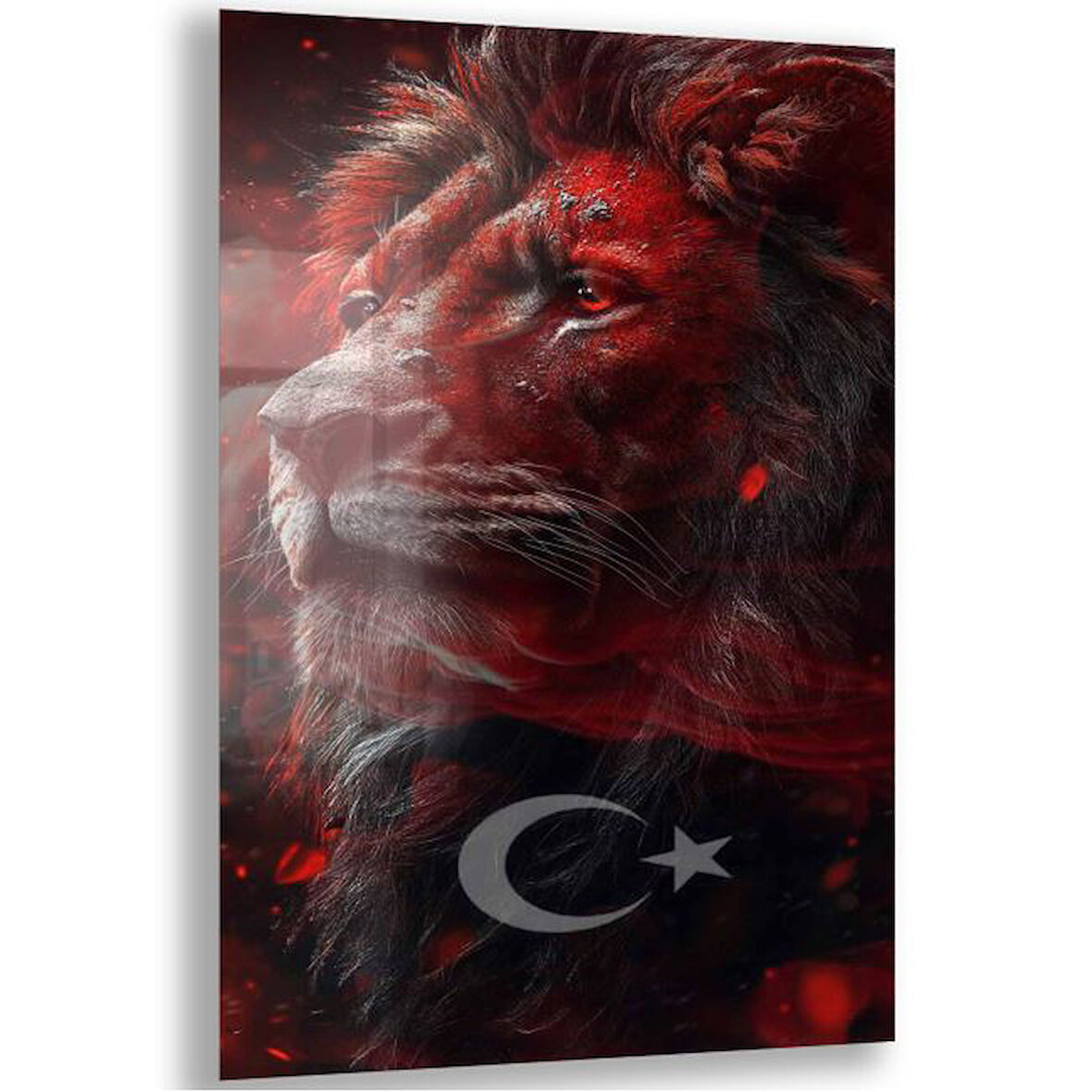 Türk Bayrağı Cam Tablo - Yatay Motif 01-006
