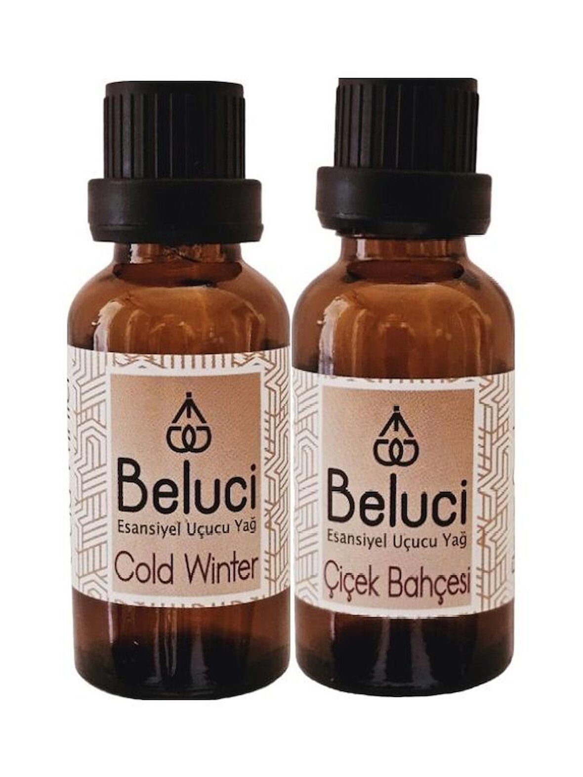 Cold Winter + Çiçek Bahçesi Uçucu Buhurdanlık Yağı Oda Kokusu Aromaterapi Set (2 Ad*30 ml)