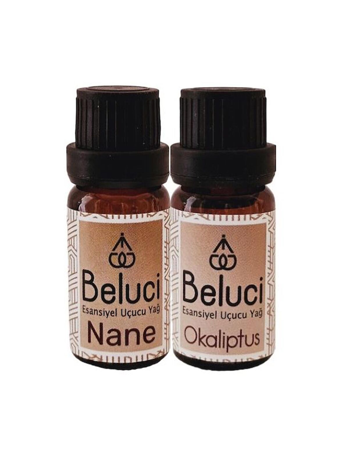 Nane + Okaliptus Uçucu Buhurdanlık Yağı Oda Kokusu Aromaterapi Set (2 Ad*10 ml)