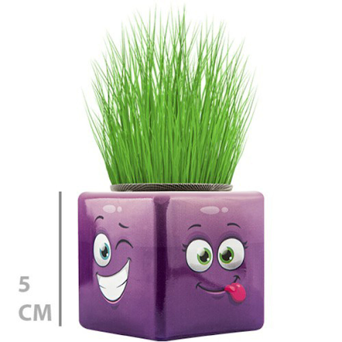 Kapamarka Çim Adam Mini Küp Emoji Figürlü 1 Adet