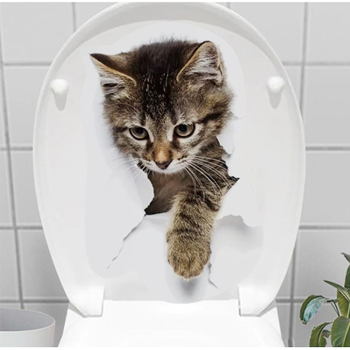 Kapamarka Klozet Etiketi Stray Cat