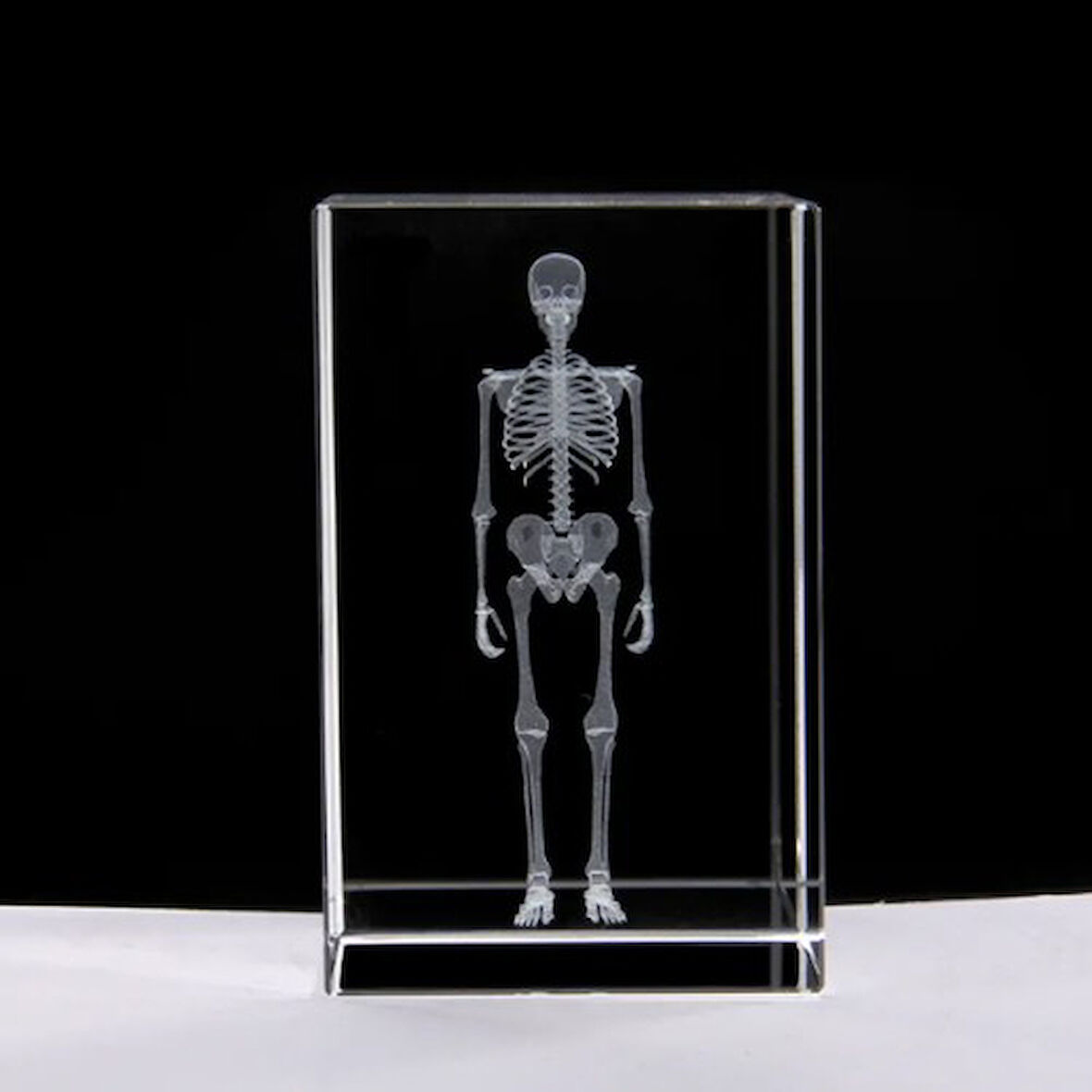Kapamarka 3D Kristal İnsan İskeleti Modeli