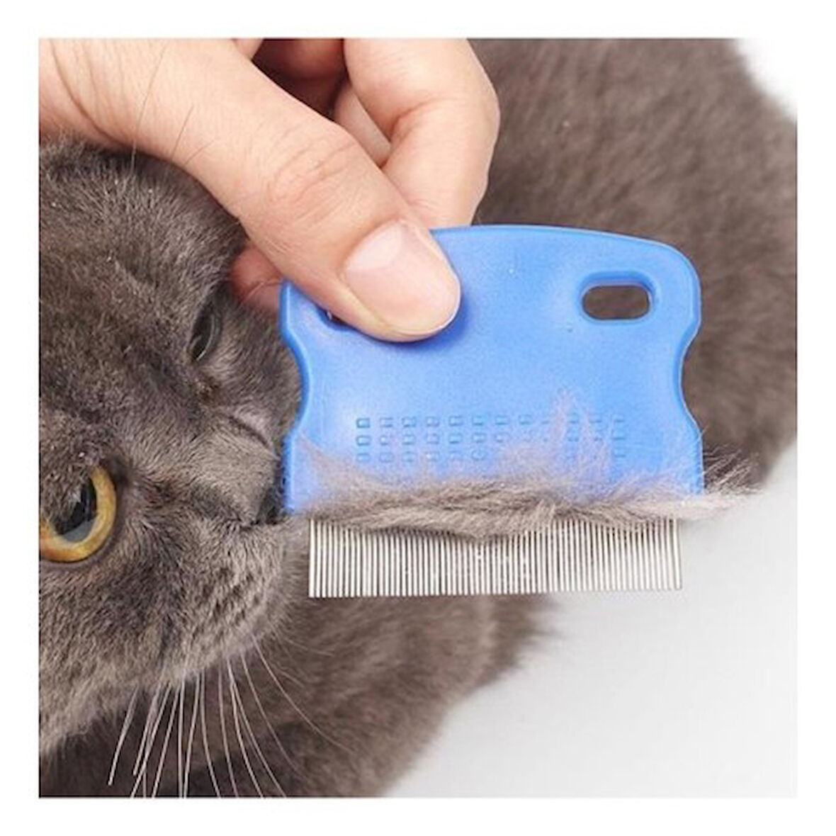 Kapamarka Kedi Köpek Pire Tarağı