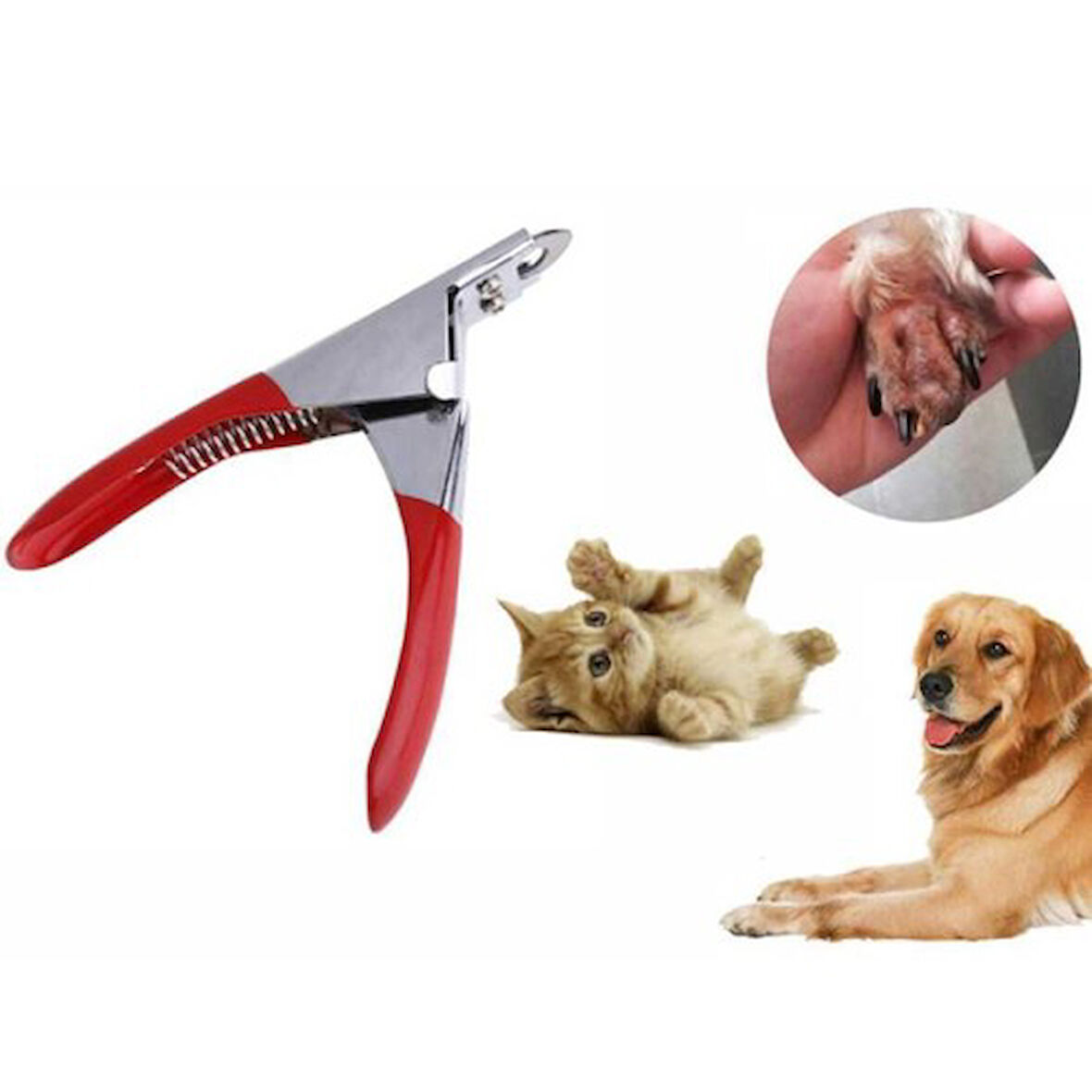 Kapamarka Ayarlanabilir Kedi Köpek Kuş Tavşan Giyotin Tırnak Makası Paslanmaz Çelik