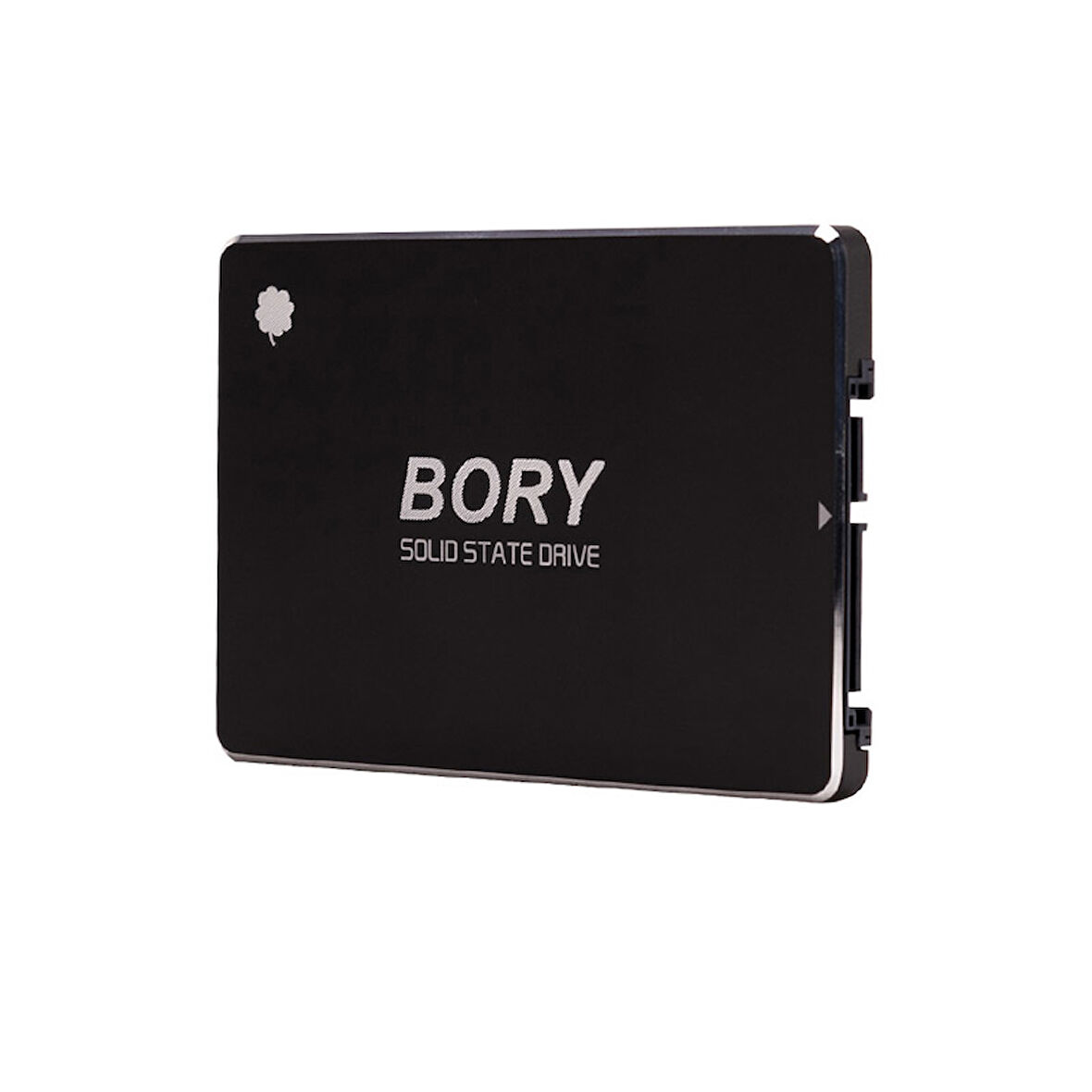 BORY R500-C128G SATA3 128 GB SSD 550/510 MBS HARDDİSK 