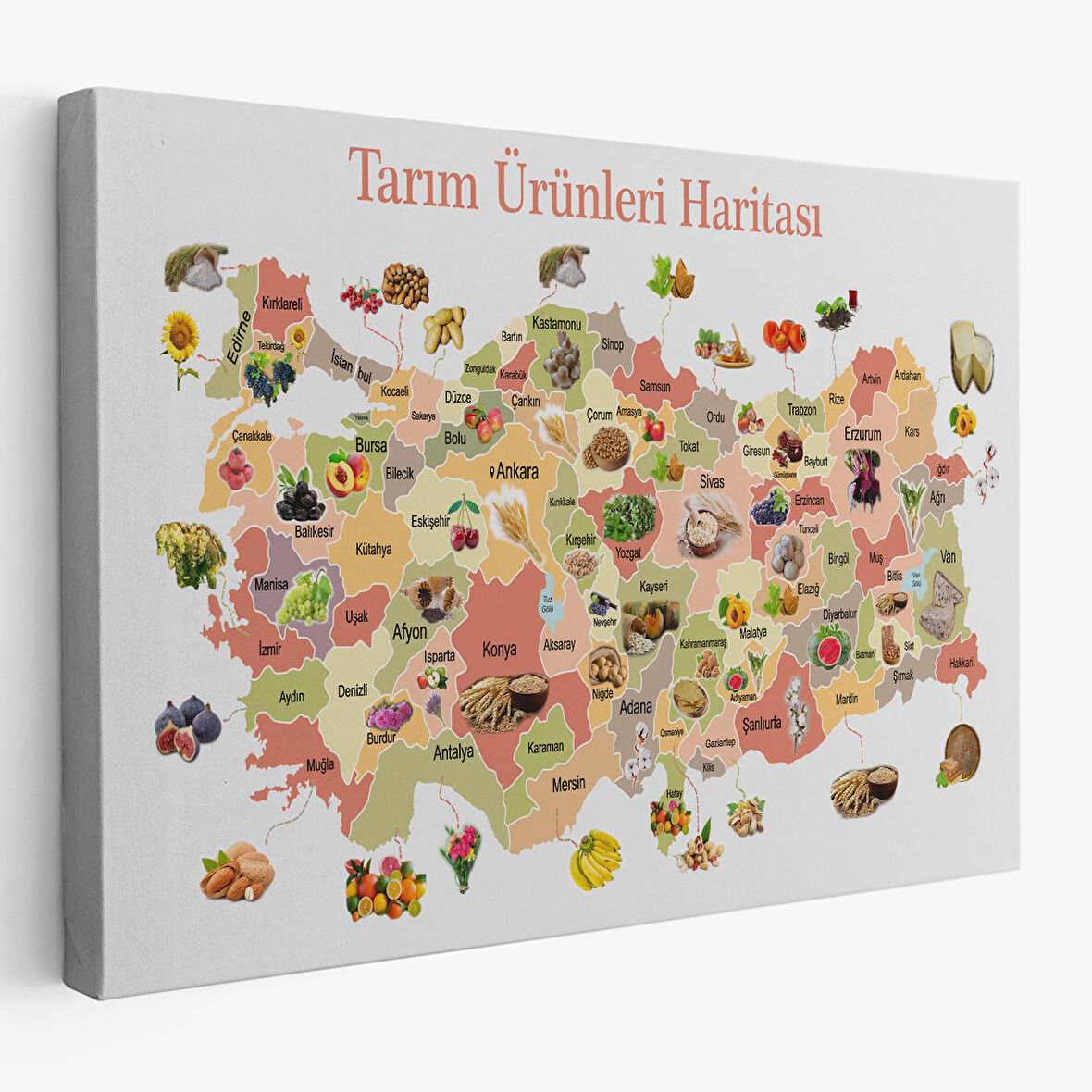 Harita Sepeti Tarım Ürünleri Yerli Malı Haftası Türkiye Haritası 1046