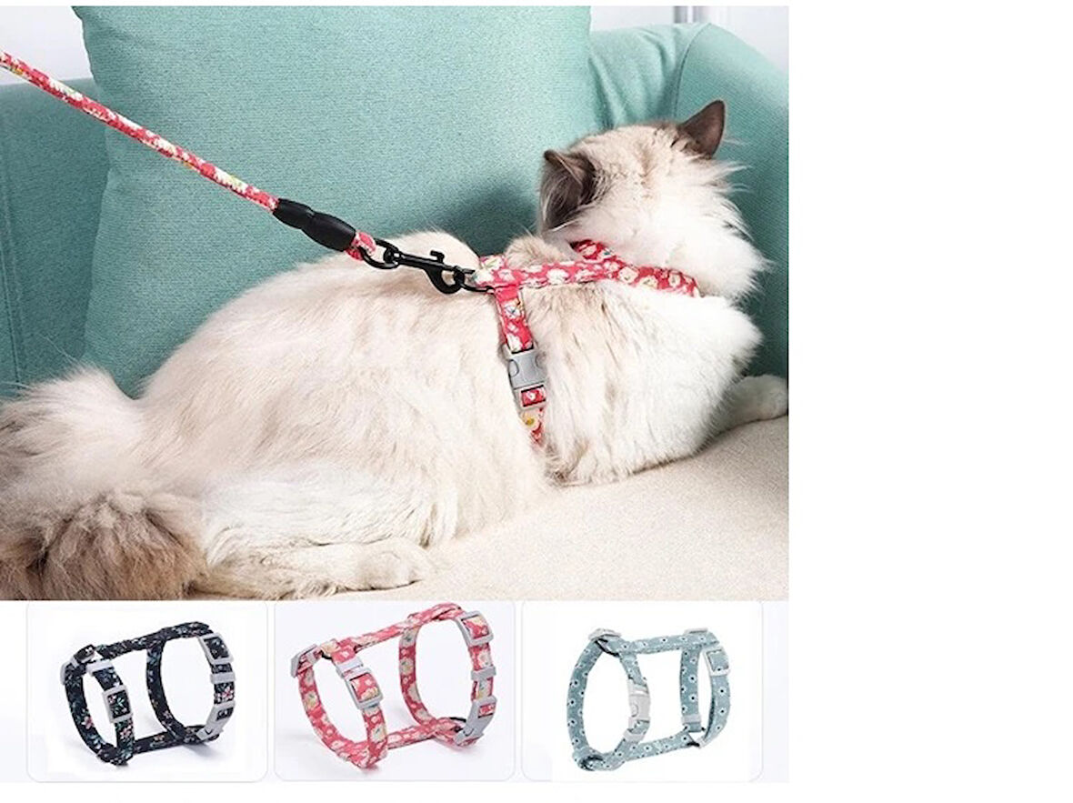 Kedi Gezdirme Göğüs Tasması 