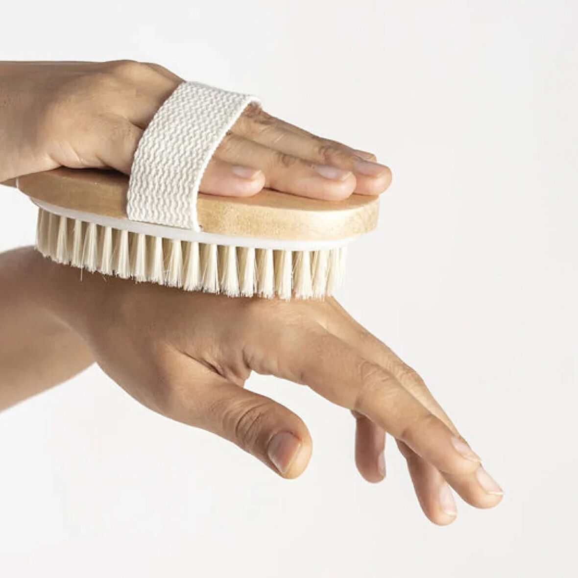 At Kılı Vücut Fırçası  