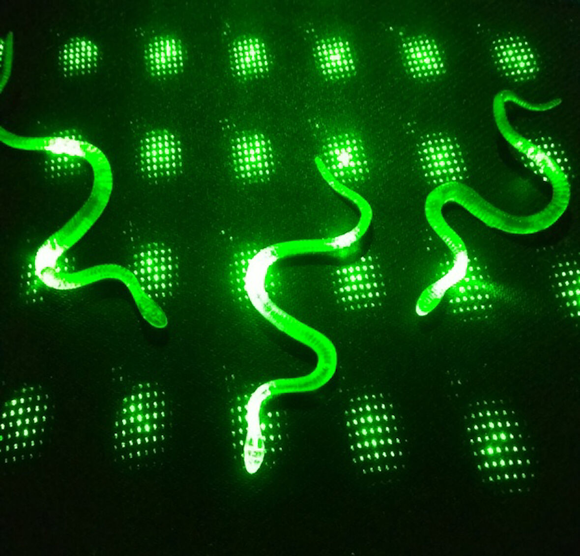 Şaka Yılan ve Kırkayak Karışık 36 Adet (5224)