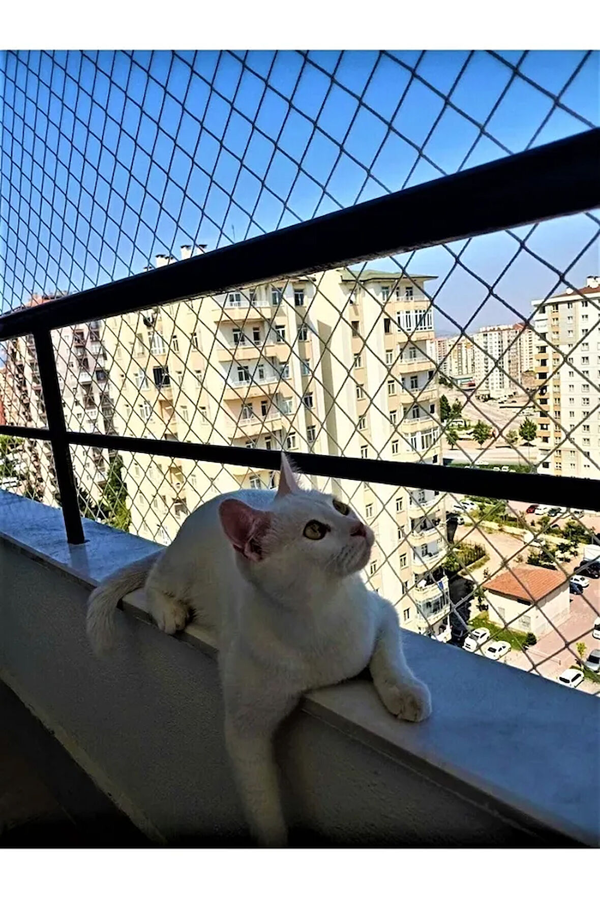 3 X 4 Metre Kedi Koruma Filesi Balkon Filesi 2 Mm Kedi Güvenlik Filesi Bebek Güvenlk Filesi