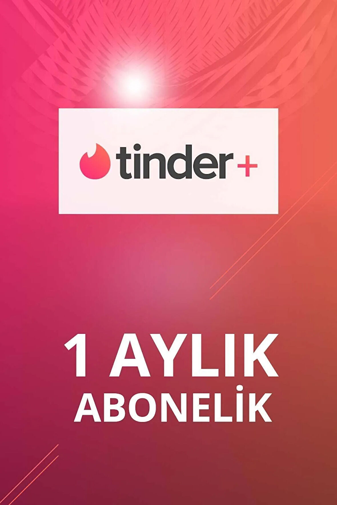 Plus 1 Aylık Abonelik