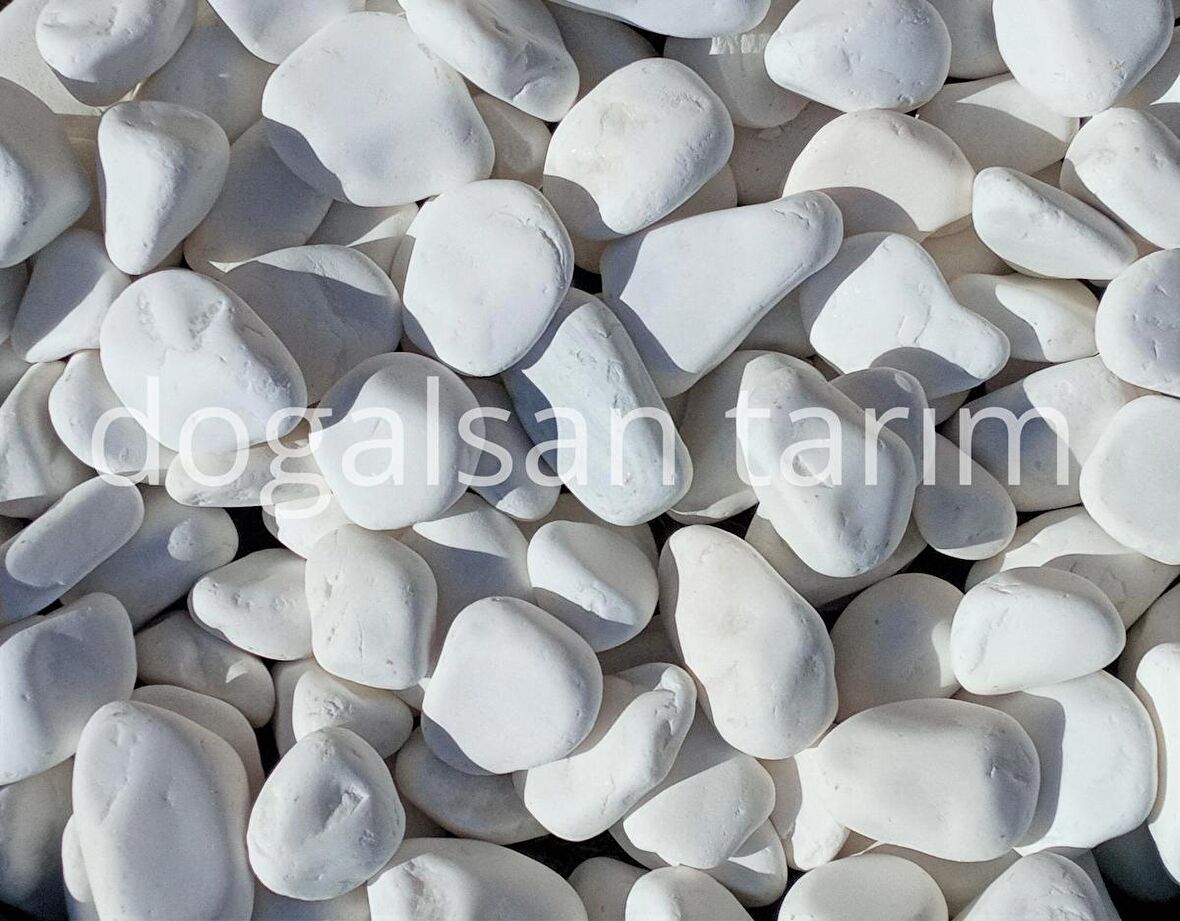 Dolomit Taş Beyaz Taş 6 Kg 2-4 Cm Dere Taşı Çakıl Taşı Dolamit