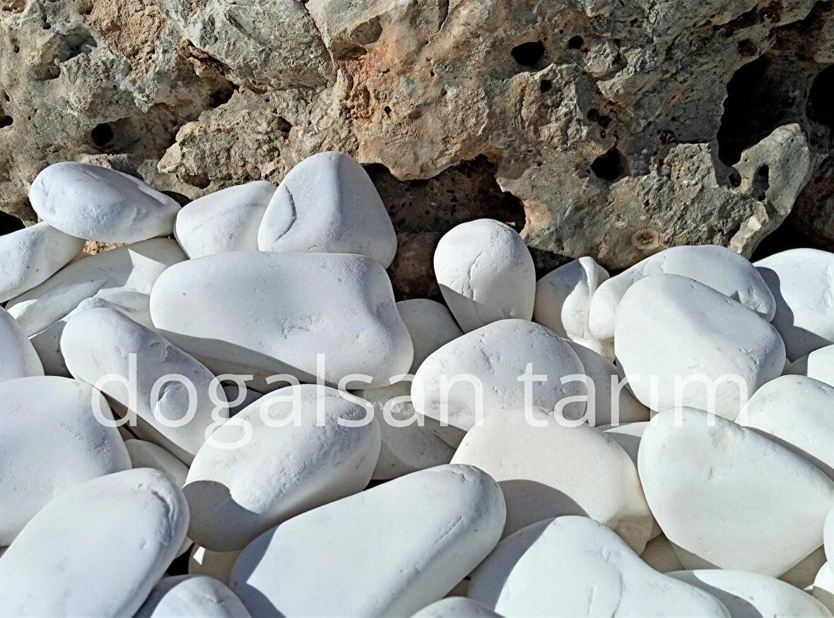 Dolomit Taş 3 Kg 4-6 Cm Beyaz Dolomit Bahçe Taşı Çakıl Taş