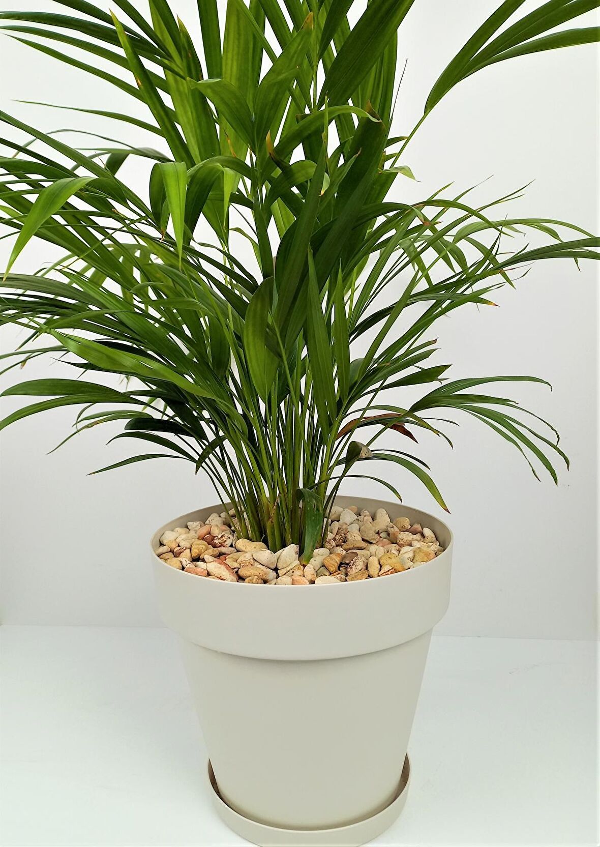 Sarı Çizgili Dolomit Taşı 7 Kg 1-2 Cm Renkli Dolomit Dekoratif Taş