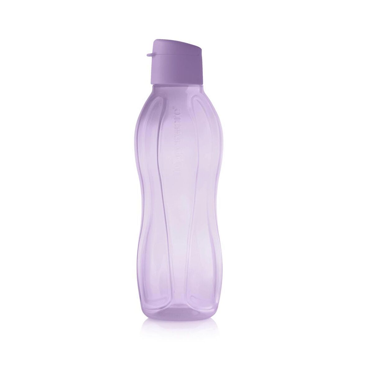 Eco KK Şişe 750ml Mor