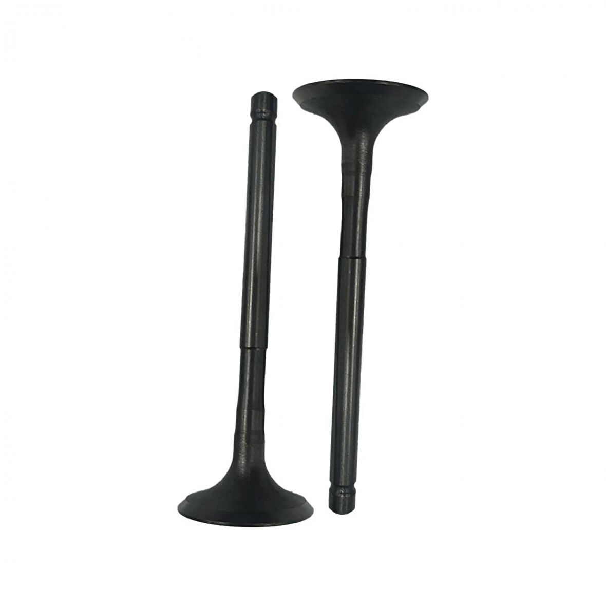 Motostar Emme Egzoz Sübap Takımı Regal Raptor 250