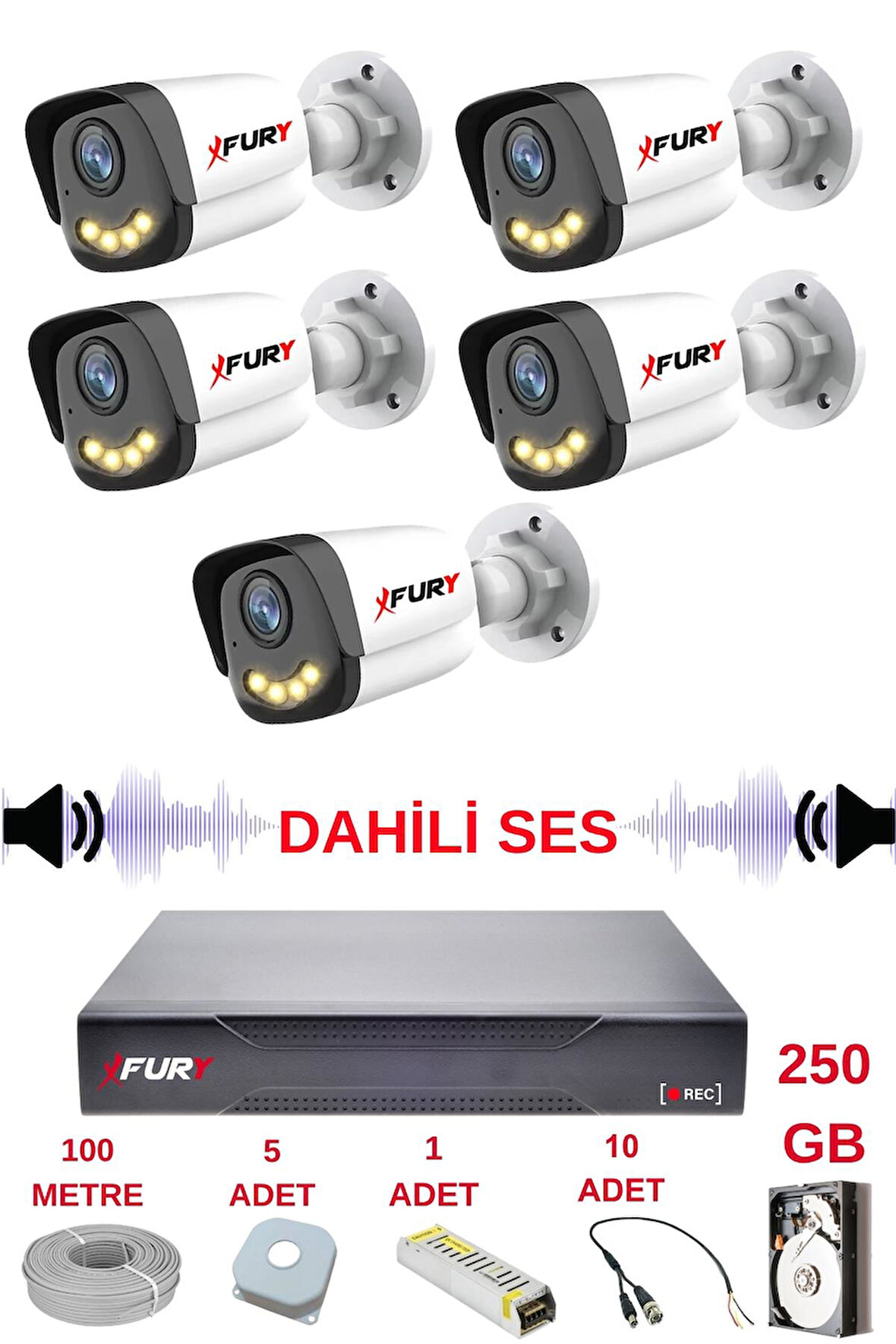 FURY 5 li Sesli Gece Renkli Görüş Güvenlik Kamerası Su Geçirmez Güvenlik Kamerası Seti 5590s 250GB