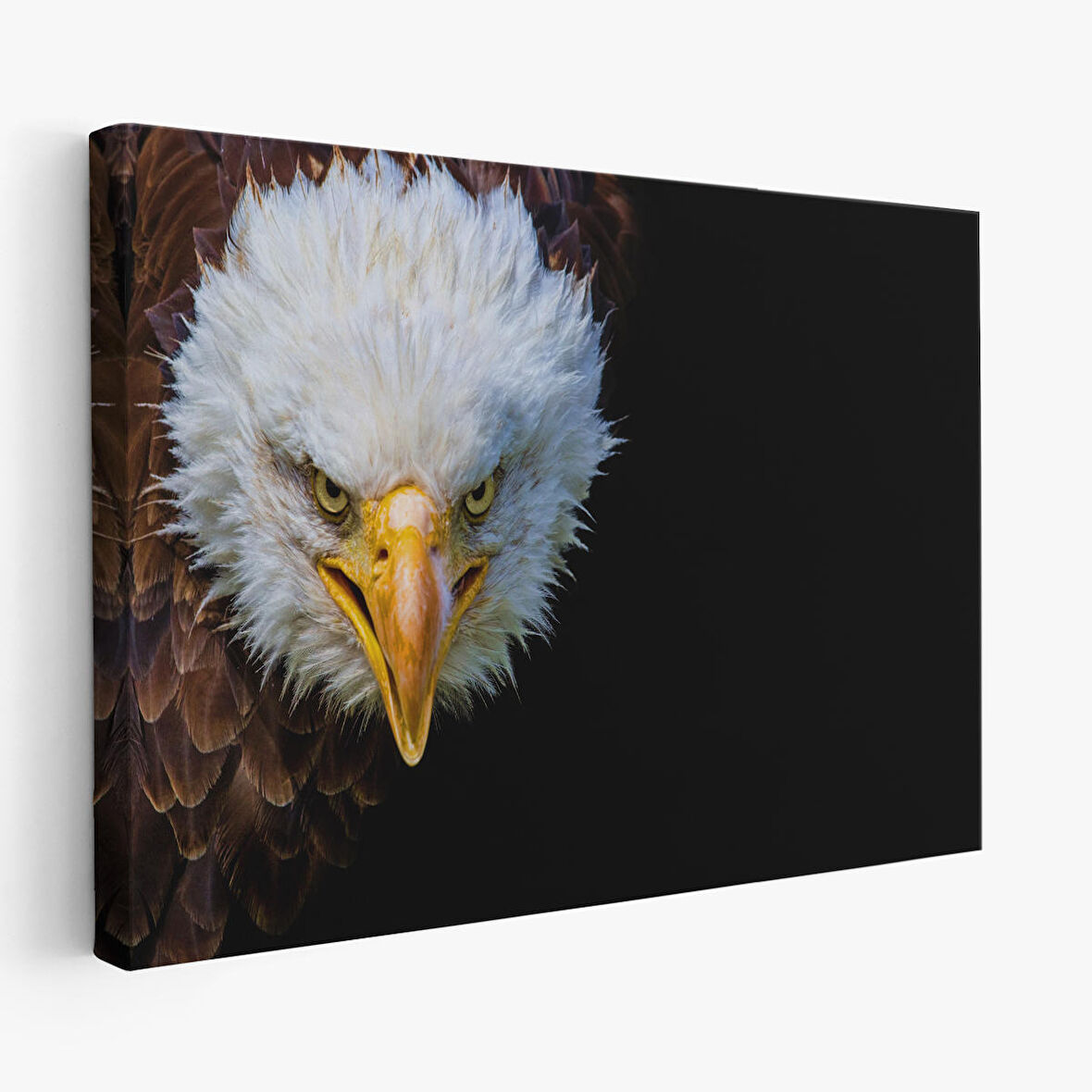 Harita Sepeti Kartal Dekoratif Kanvas Tablo 1132