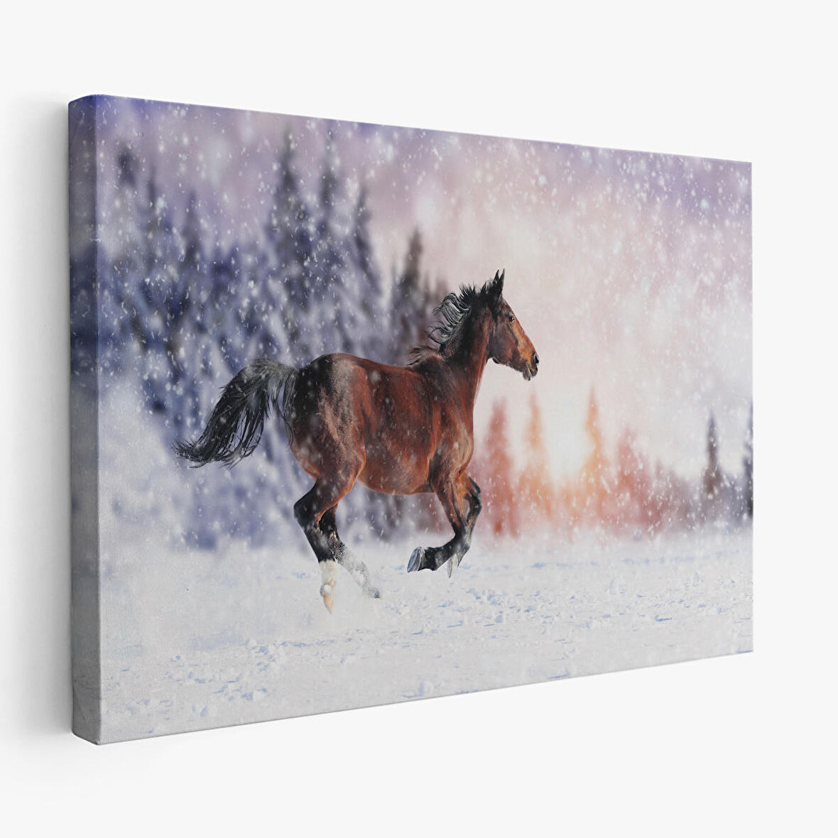 Harita Sepeti Karda Koşan At Dekoratif Kanvas Tablo 1133