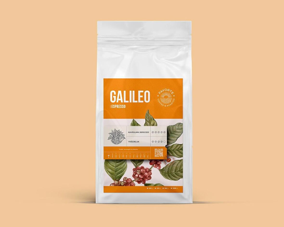 Favorte Galileo Espresso Kahve 1 Kg