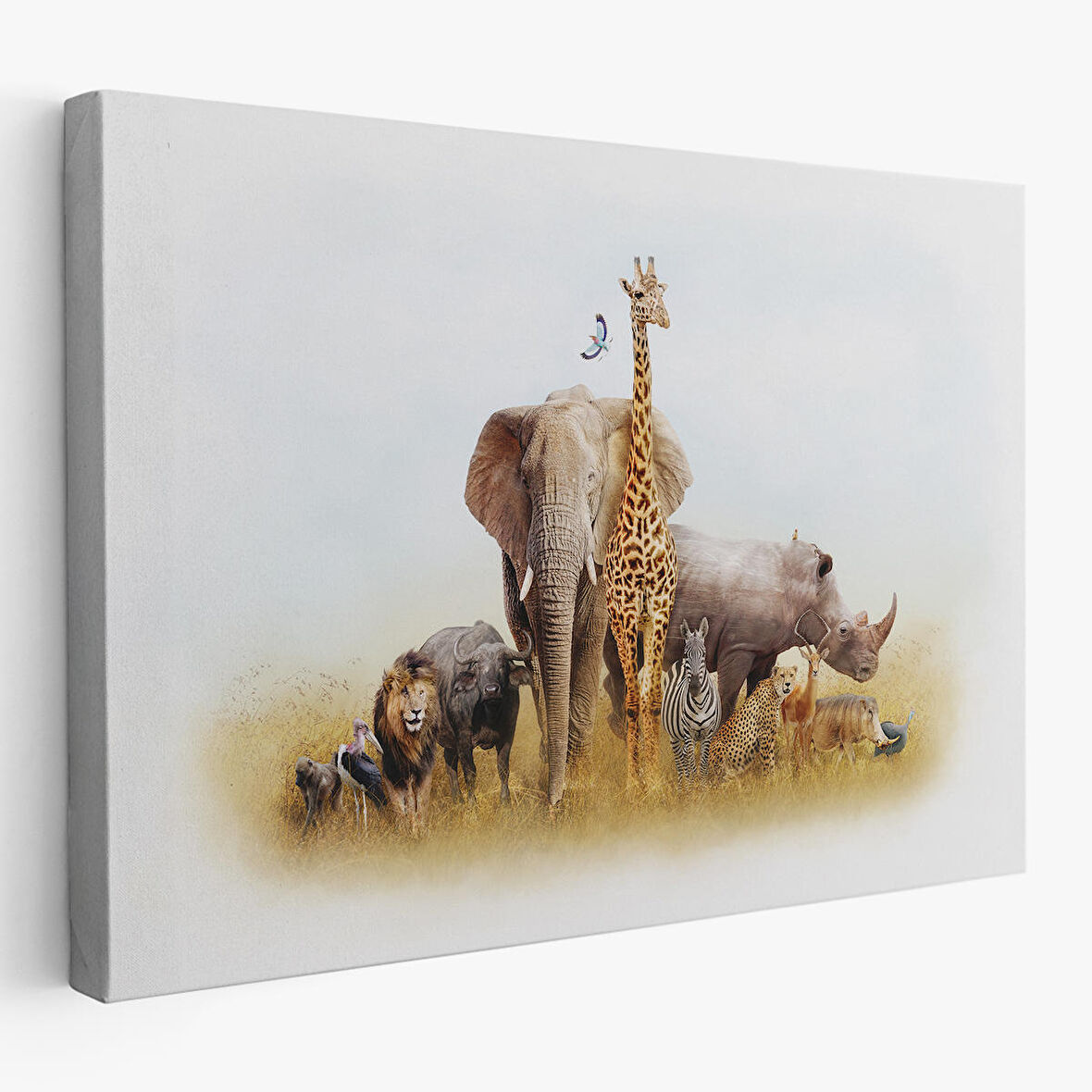 Harita Sepeti Hayvanlar Alemi Dekoratif Kanvas Tablo 1146