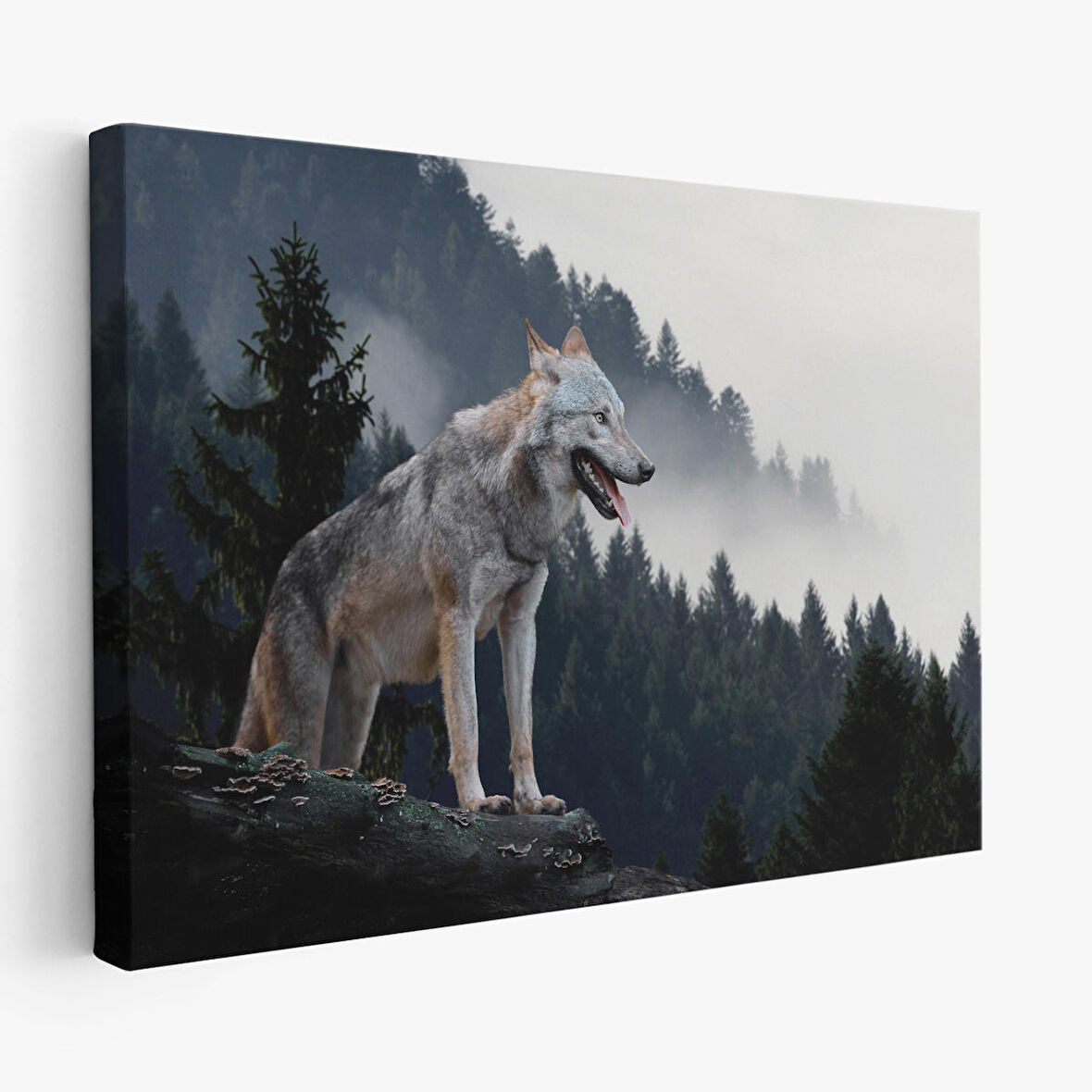 Harita Sepeti Bozkurt Dekoratif Kanvas Tablo 1148