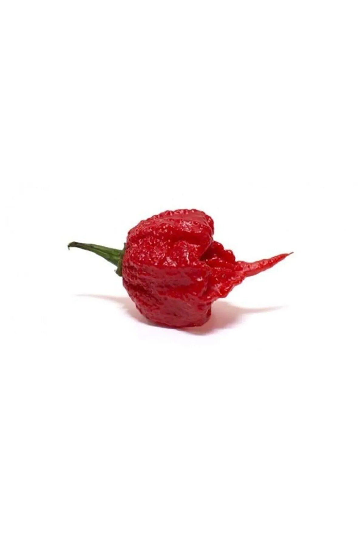 Farmlife Orjinal Carolina Reaper Biberi Tohumu