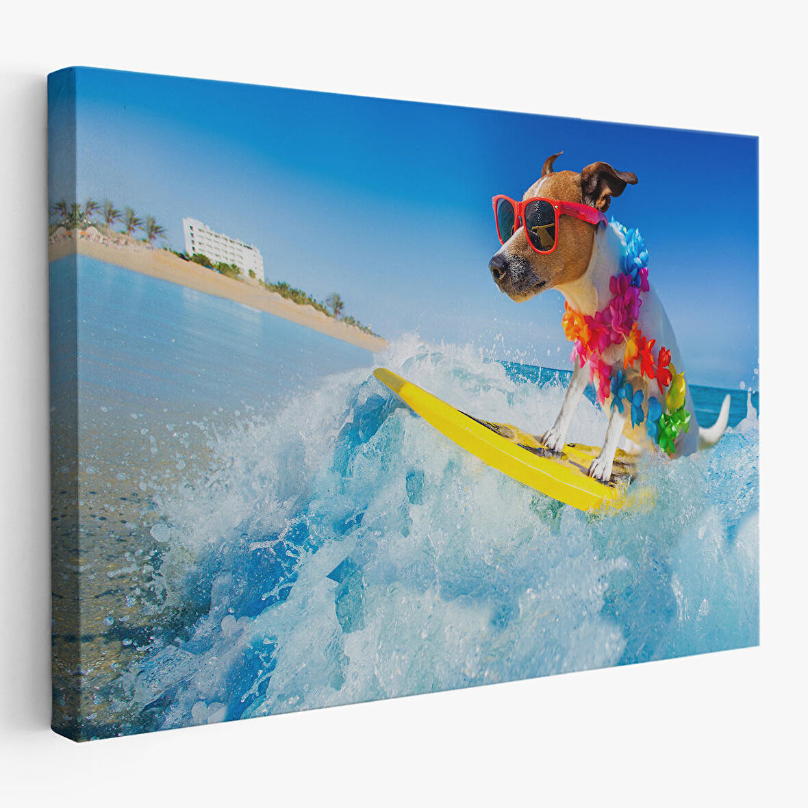 Harita Sepeti Su Kayağı Yapan Köpek Dekoratif Kanvas Tablo 1155