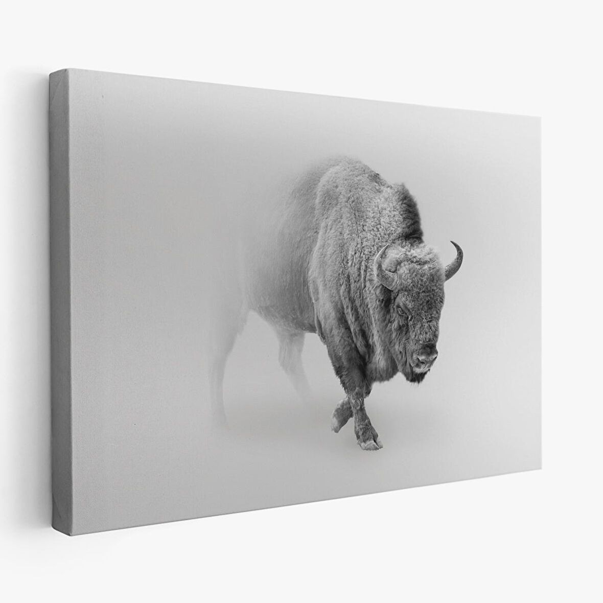 Harita Sepeti Bizon Dekoratif Kanvas Tablo 1160