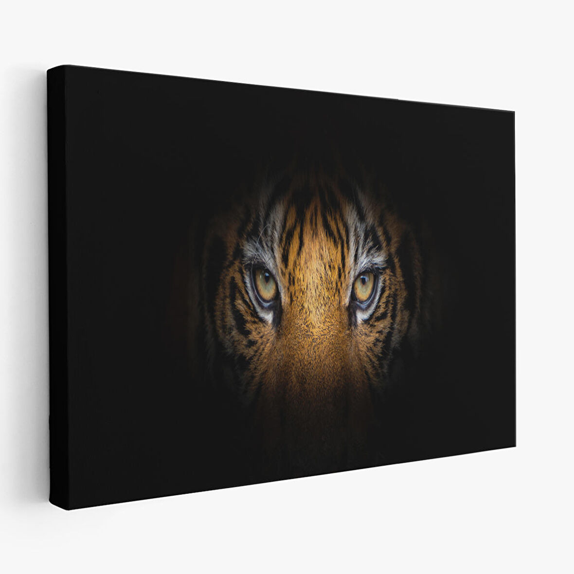 Harita Sepeti Kaplan Gözleri Dekoratif Kanvas Tablo 1161