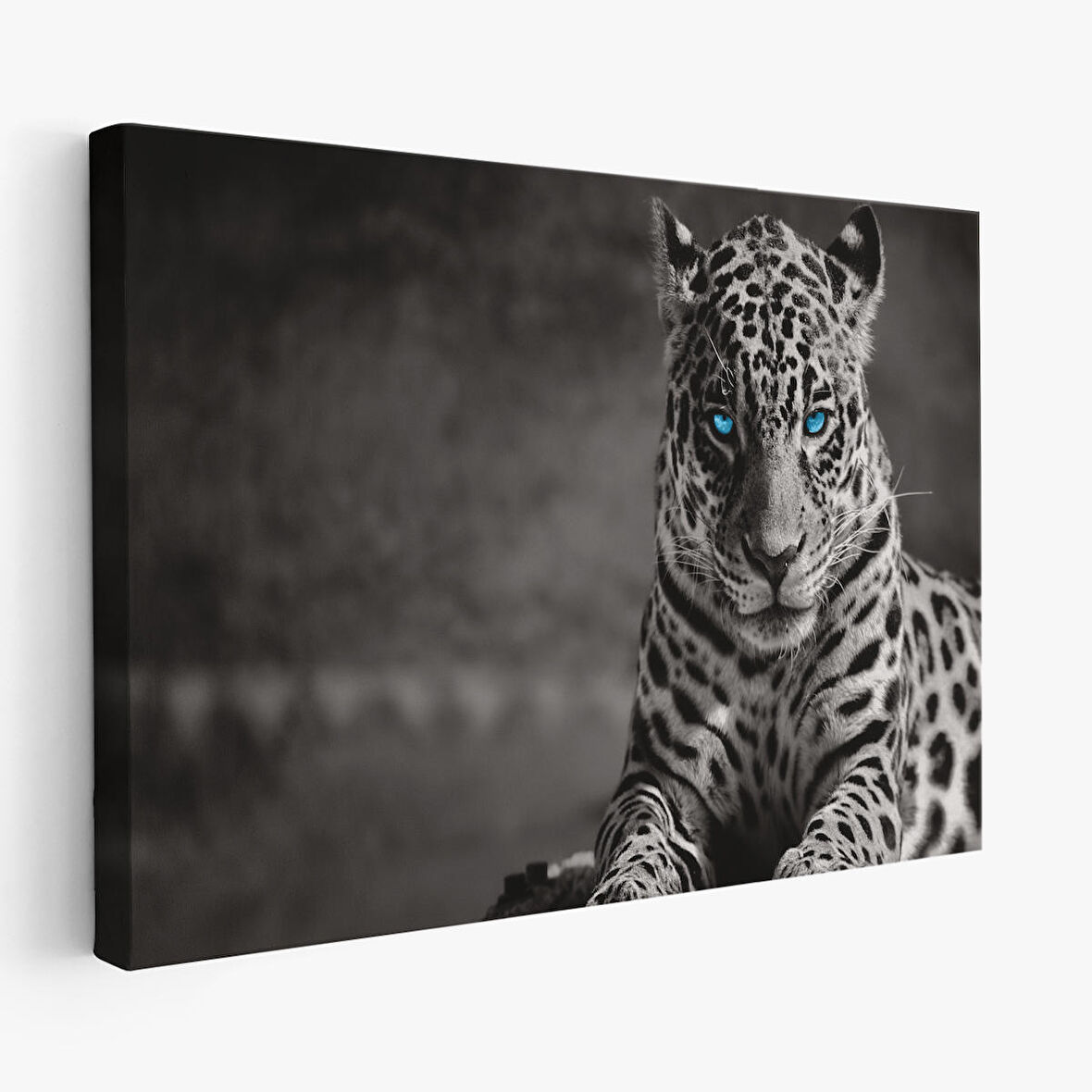 Harita Sepeti Mavi Gözlü Leopar Dekoratif Kanvas Tablo 1162