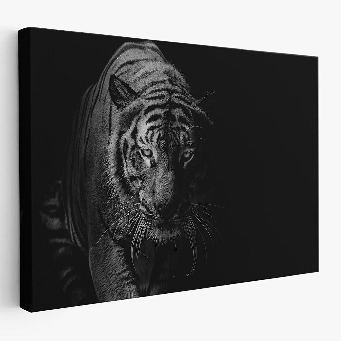 Harita Sepeti Kaplan Dekoratif Kanvas Tablo 1163