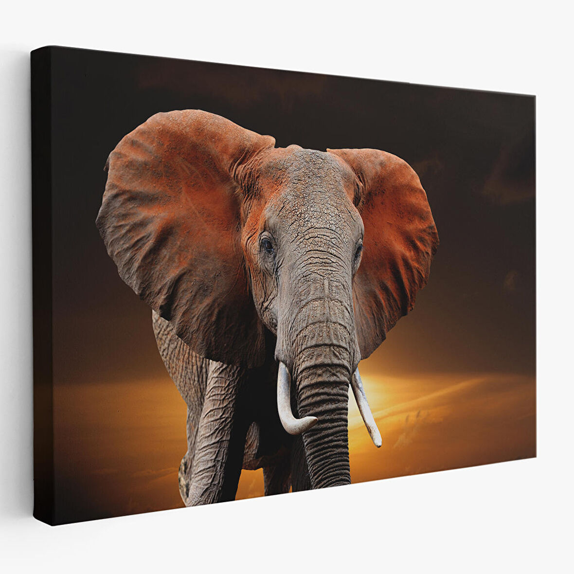 Harita Sepeti Fil Dekoratif Kanvas Tablo 1167