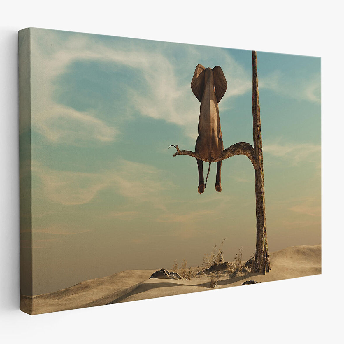 Harita Sepeti Ağaç Dalında Oturan Fil Dekoratif Kanvas Tablo 1171