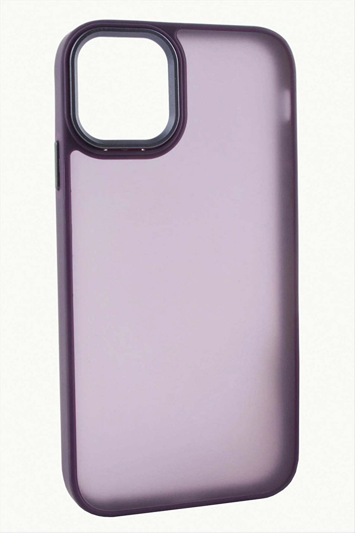 iPhone 11 Renkli Lüx Newxu Silikon Kılıf