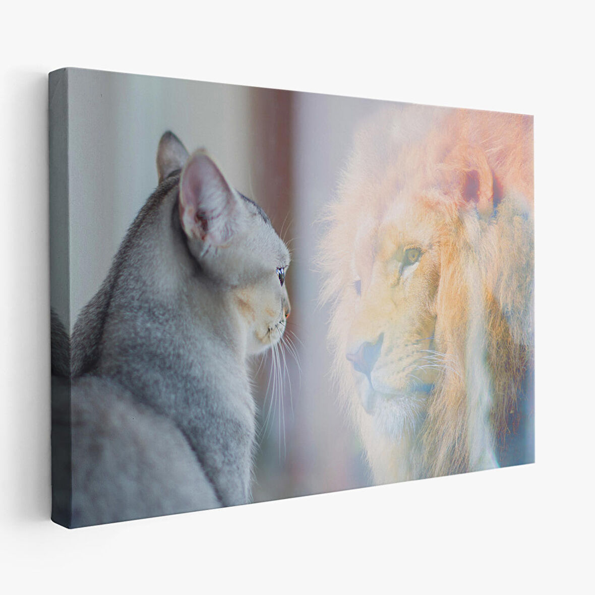 Harita Sepeti Kendini Aslan Gören Kedi Dekoratif Kanvas Tablo 1175