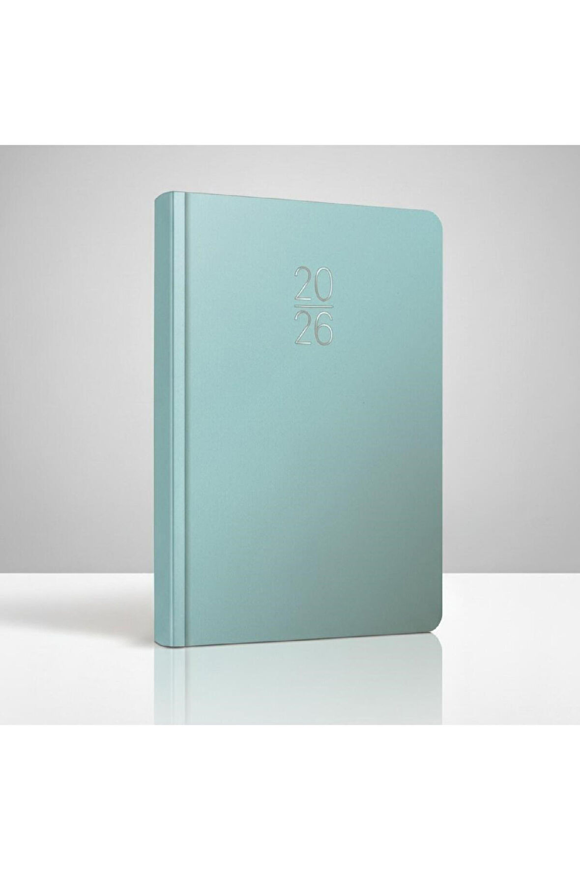 GIPTA 2026 Ciltli Sert Kapak Günlük Ajanda 20X28 cm 336 Sayfa 119-ECK (İNGİLİZCE-RUSÇA-RUMENCE)