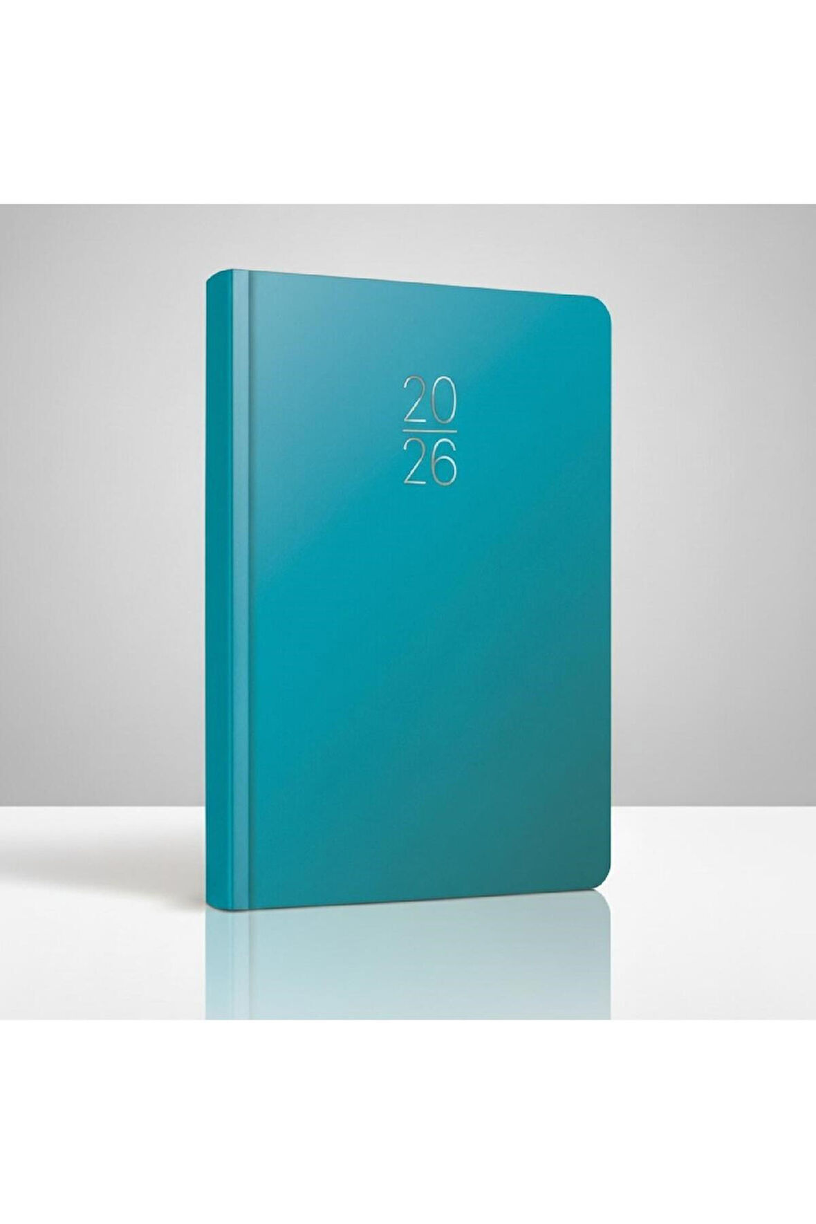 GIPTA 2026 Ciltli Sert Kapak Günlük Ajanda 20X28 cm 336 Sayfa 119-ECK (İNGİLİZCE-RUSÇA-RUMENCE)