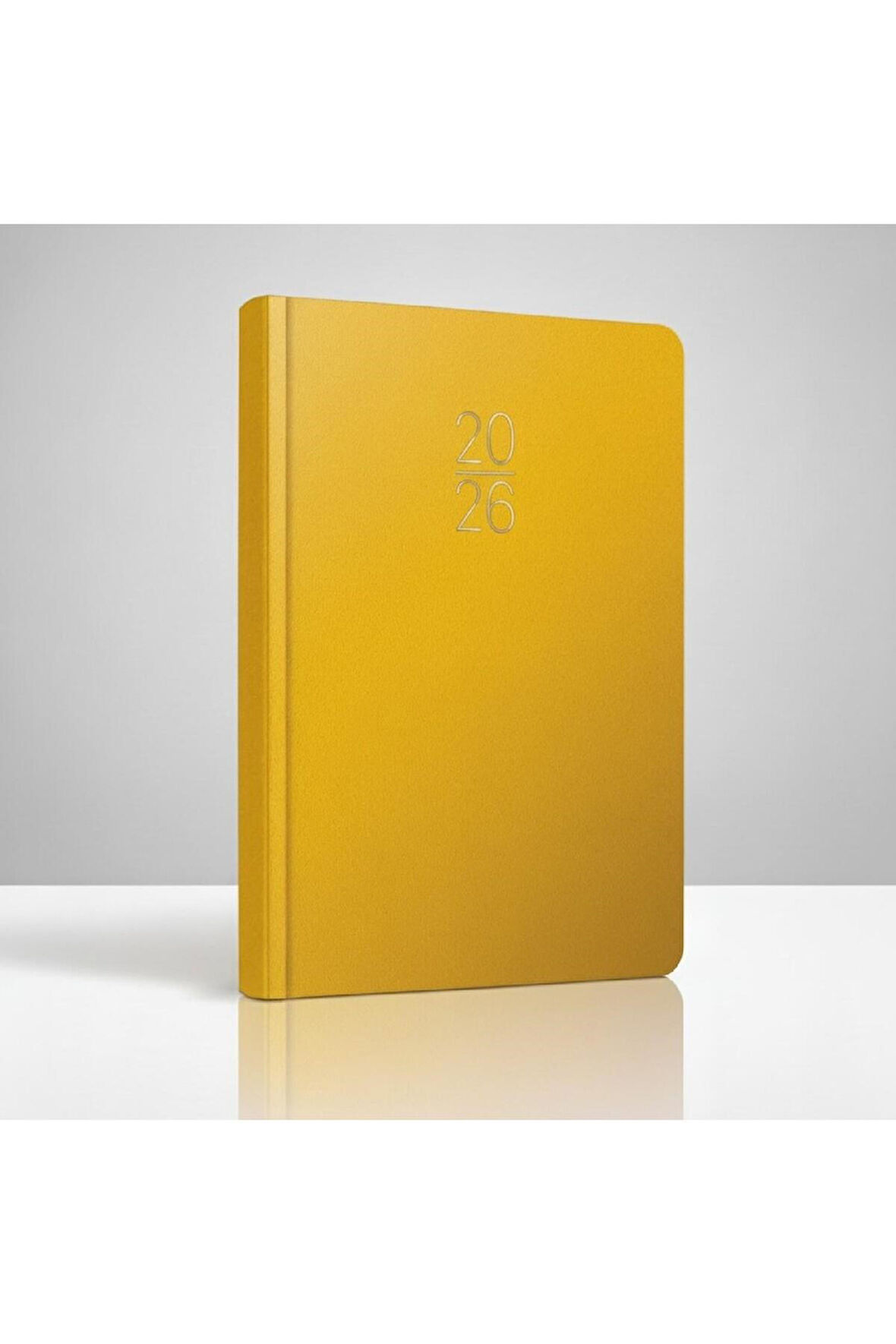 GIPTA 2026 Ciltli Sert Kapak Günlük Ajanda 20X28 cm 336 Sayfa 119-ECK (İNGİLİZCE-RUSÇA-RUMENCE)