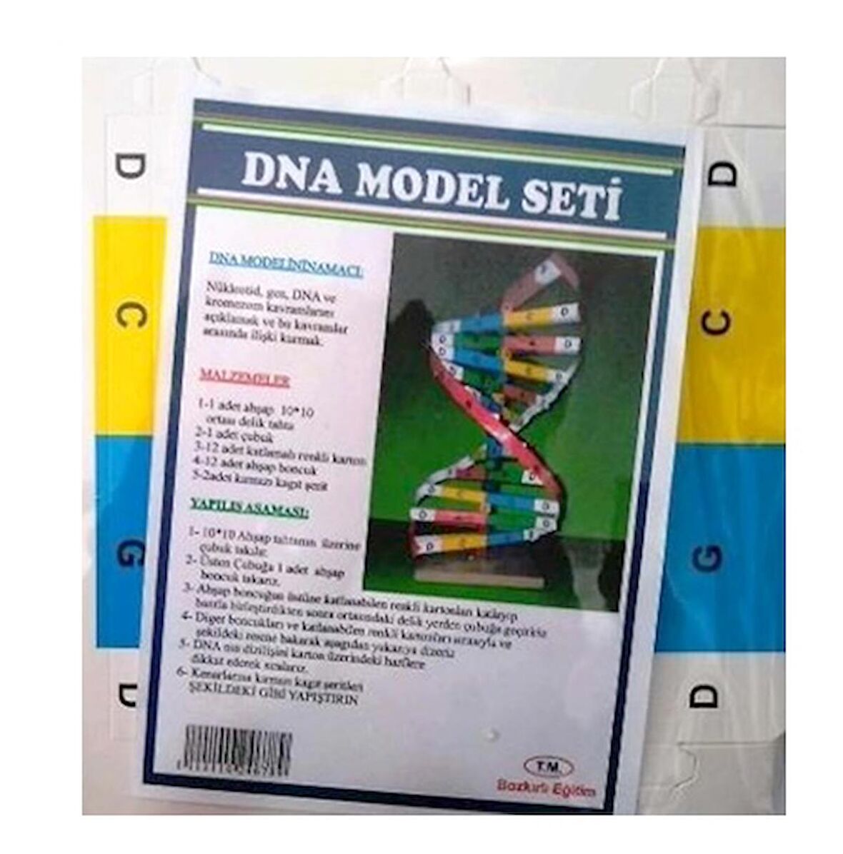 Dna Model Seti