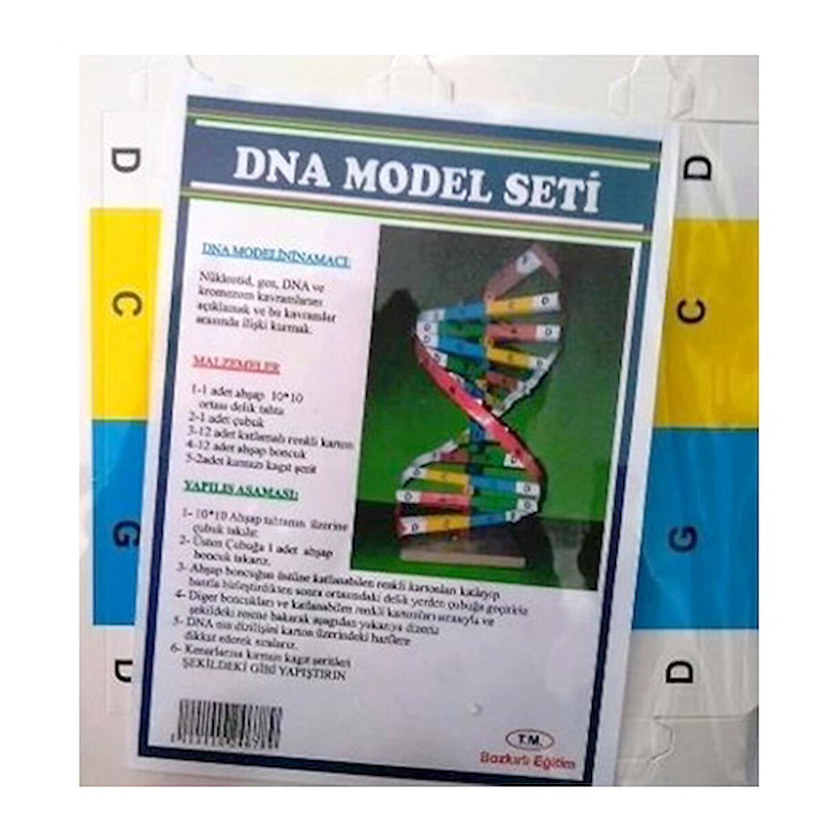 Dna Model Yapım Deney Seti 2 adet