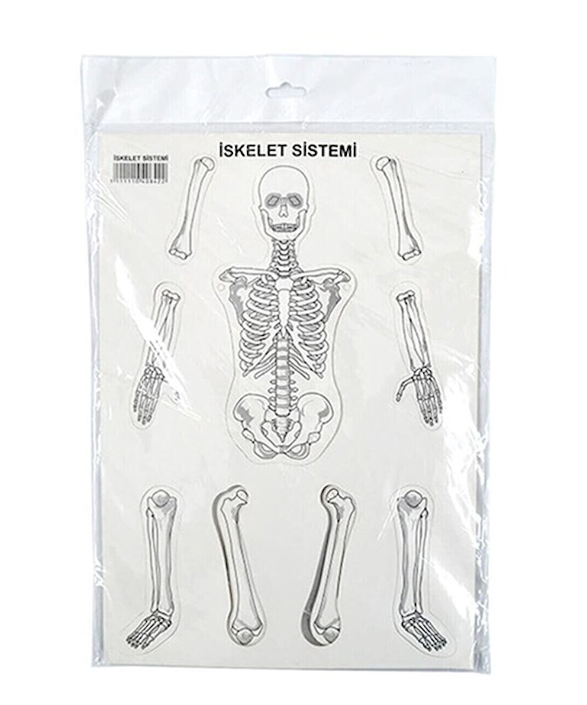 Karton İskelet Sistemi - 3 adet