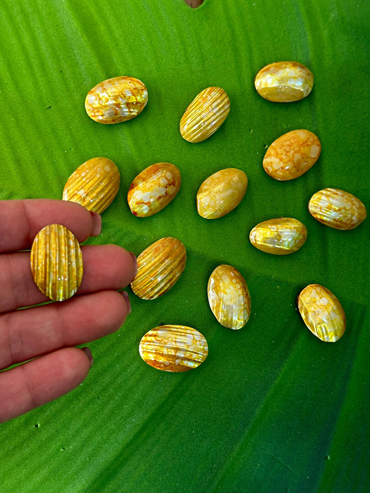 2 CM 15 ADET AHŞAP DELİKLİ SEDEF BONCUK TAKI BONCUĞU